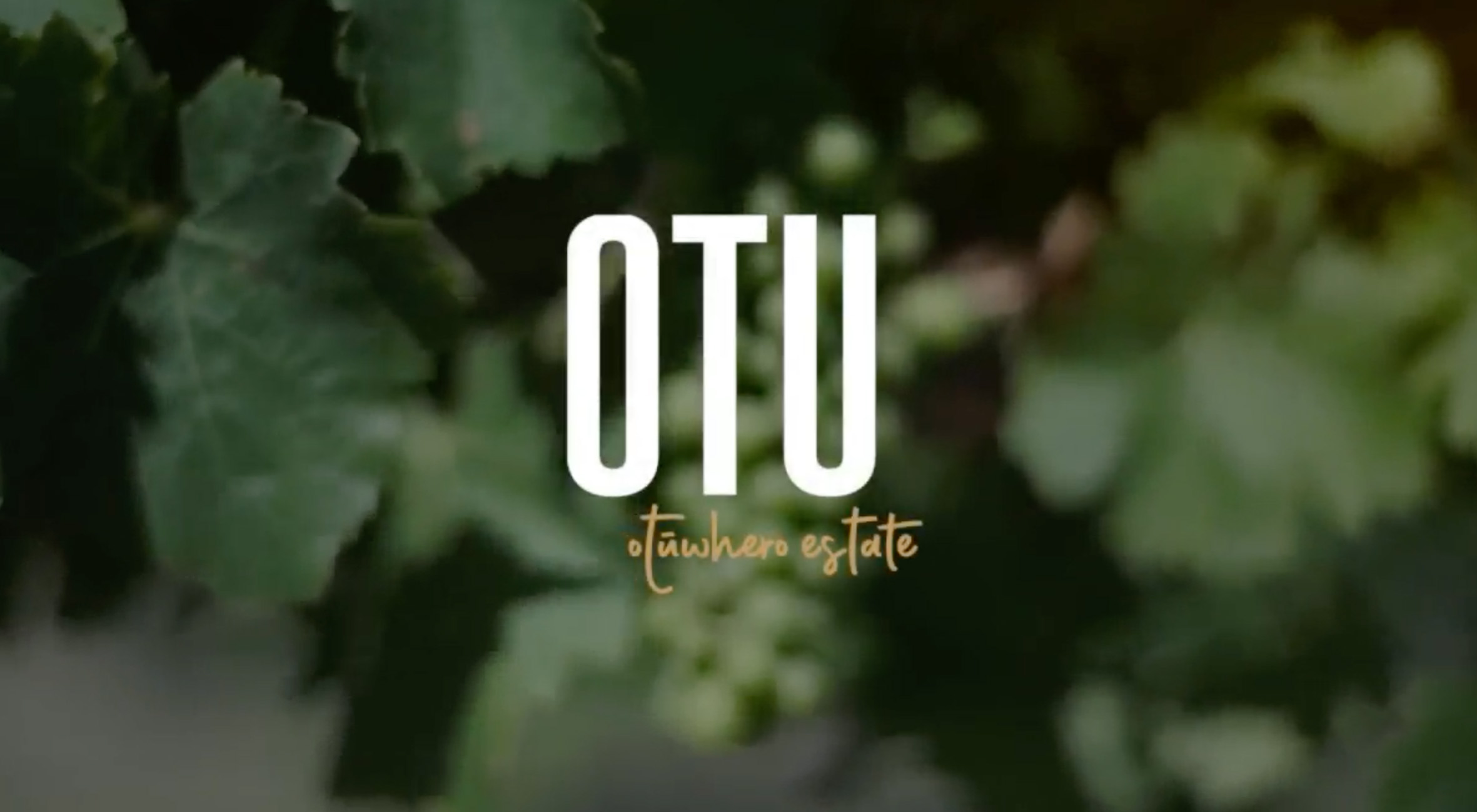 Otu Wines（オトゥ・ワインズ）